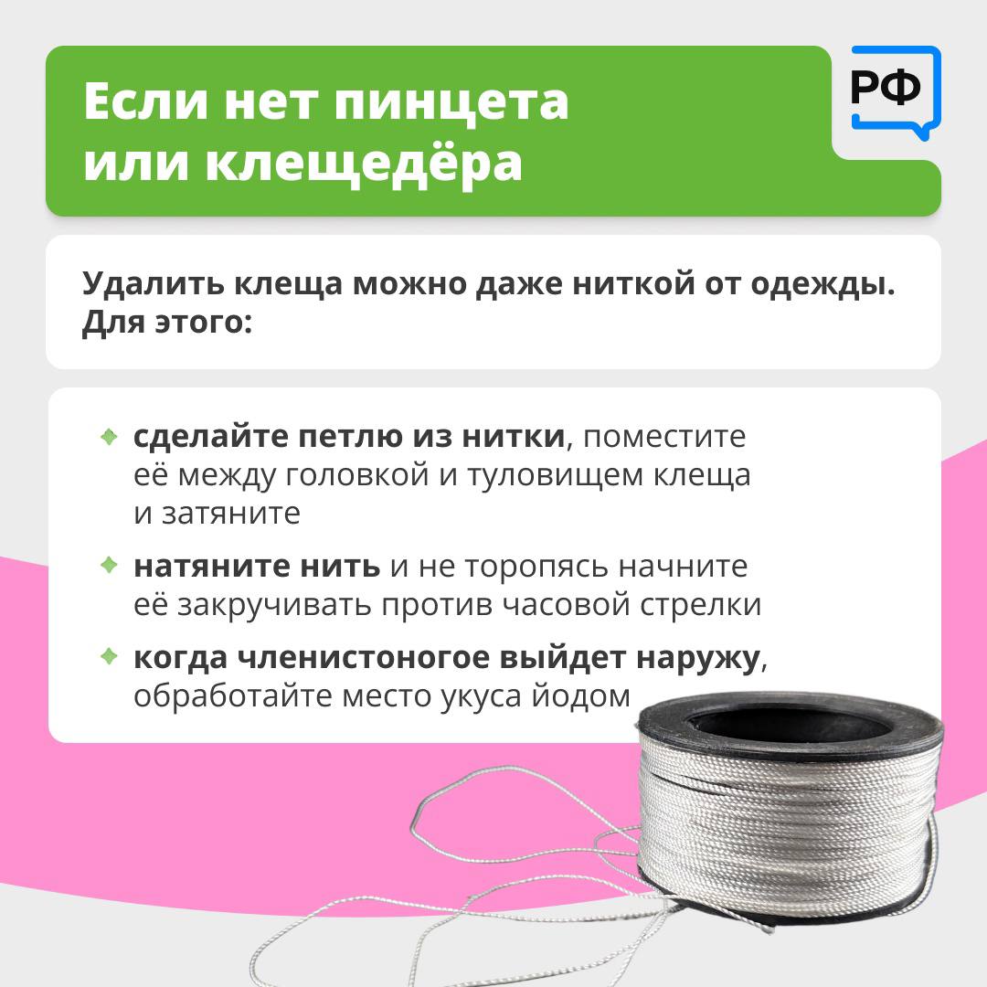 Вместе с клещом можно подцепить опасные болезни. Например, боррелиоз — он затрагивает кожу, сердце и другие органы. А клещевой энцефалит поражает центральную нервную систему и может привести к смерти.   Если вы обнаружили клеща на себе, действовать нужно по правилам. Подробнее о них — в карточках.    Оперштаб. Красноярский край