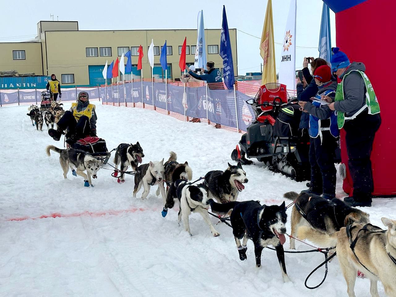 На старт большой гонки Берингия выйдут 15 каюров В гонку по данным КВТЦ заявились как начинающие опытные каюры так и многократные победители и призёры гонок на собачьих упряжках Александр Кривогорницын Анна Семашкина Алексей Попов Евгений Кутынковав Георгий Шевчук Анфиса Бразалук Валерий Соколов Абдурасул Холмуродов Виталий Тишкин Андрей Притчин Юлия Притчина Валентин Левковский Николай Левковский Им предстоит преодолеть основной маршрут Единая Камчатка 19 лет вместе протяжённостью 1425 километров со стартом в посёлке Эссо и финишем в посёлке Усть Камчатске Старт первого этапа основной гонки запланирован на 28 февраля в Эссо На маршрут в номинации Молодой каюр 415 км от села Эссо до посёлка Тигиль выйдут София Яганова Николай Наянов Финиш Берингии 2025 в посёлке Усть Камчатске Подписывайтесь на наш канал в MAX устькамчатскийокруг берингия2026