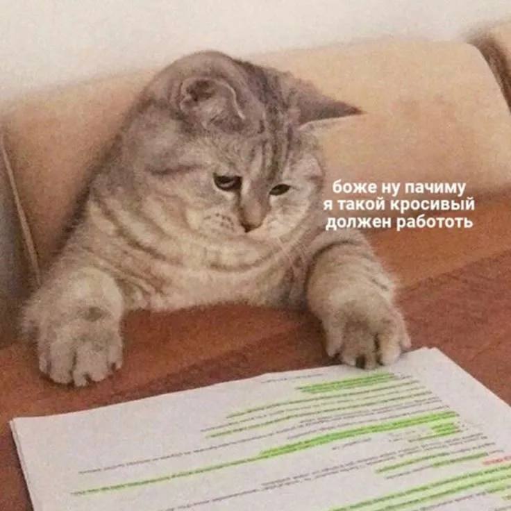 Каждый второй россиянин выгорел на работе к концу года исследование У 68 граждан постоянно держится чувство усталости 62 регулярно испытывают перенапряжение и стресс 55 отмечают раздражительность а 47 по утрам не хотят идти на работу