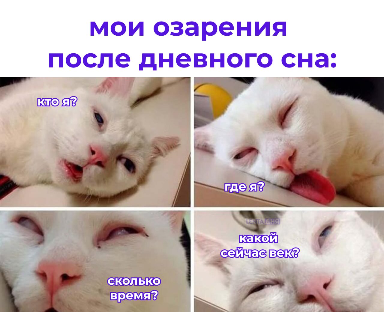 Учёные подтвердили связь сна и озарений. Короткий дневной сон может помочь найти решение сложной задачи — особенно если удаётся погрузиться в глубокую фазу. Согласно исследованию, более 85% участников, достигших этой стадии сна, пережили момент внезапного озарения. У бодрствующих такие инсайты случались почти вдвое реже.