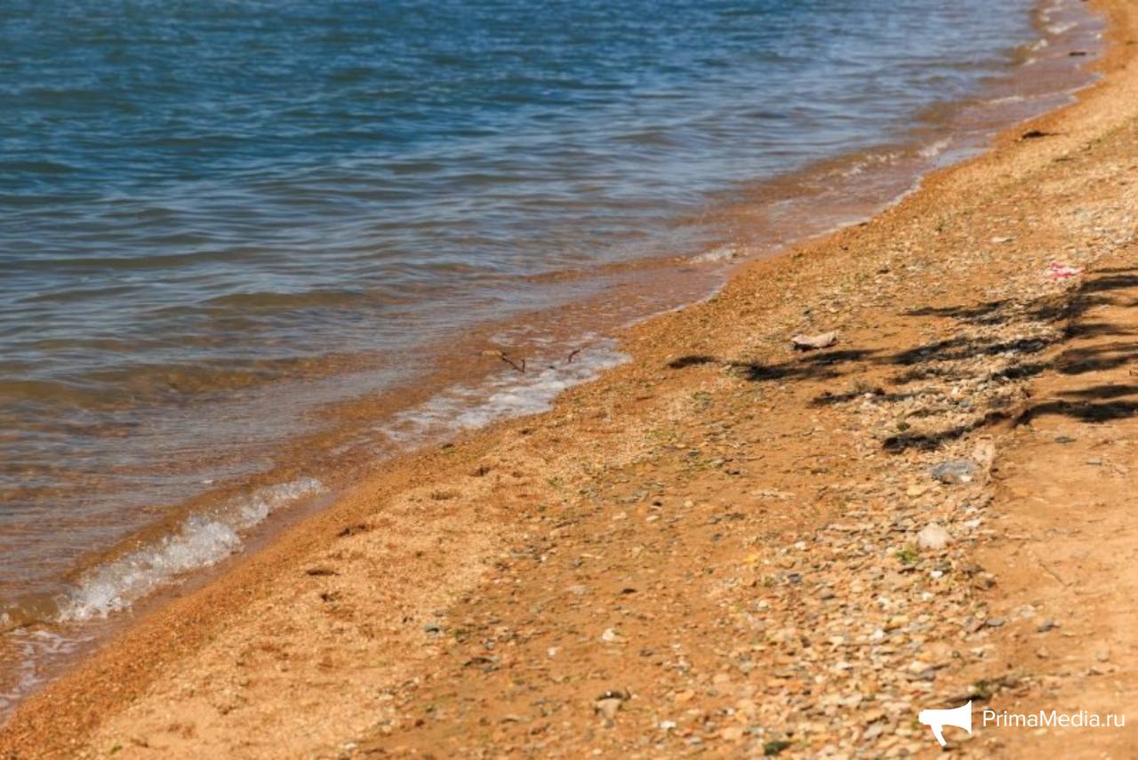 Аномально теплая вода наблюдается в акватории Приморья В июне температурные показатели воды оказались на 5–7 °C выше по сравнению с июнем 2024-го. Среднемесячная температура превышала многолетние нормы на 4 °C. Повышенная температура сохраняется и в июле: в первой декаде месяца значения остаются на 5–6 °C выше средних многолетних. По состоянию на 4 июля температура воды составляет в заливе Посьета +26 °C, в Амурском заливе +25 °C, в бухте Находка +17 °C. PrimaMedia Прислать новость