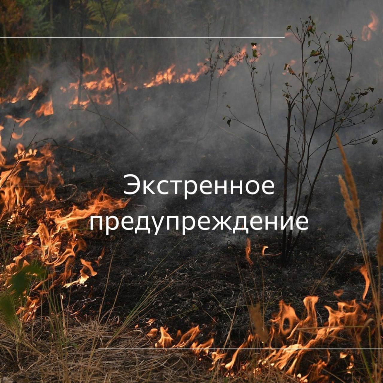 По данным предупреждения Краснодарского ЦГМС филиала ФГБУ "Северо-Кавказское УГМС» в течение суток 11 июля в северо- восточных, северо-западных, юго-западных, центральных и юго-восточных районах Краснодарского края ожидается высокая пожароопасность 4 класса. Прогнозируется: 11 июля на территории Крымского района вероятность возникновения ЧС и происшествий, связанных с: увеличением количества пожаров на объектах экономики и в населенных пунктах; возникновением лесных и ландшафтных пожаров, увеличением их площадей; пожарами на сельхозугодиях и в лесополосах. Источник ЧС и происшествий - высокая пожароопасность ВПО 4 класса.