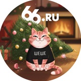 Аватар Телеграм канала: 66.RU | Новости из Екатеринбурга
