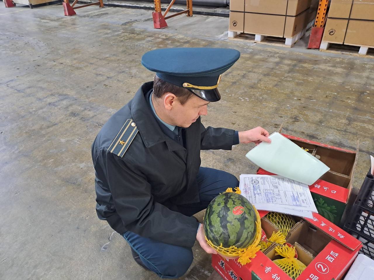 Больше 120 тонн арбузов привезли на Урал в апреле Весной в регион везут арбузы с Ближнего Востока. В середине мая начнутся поставки из Узбекистана, Таджикистана, Туркменистана и Афганистана. А вы уже пробовали арбузы в этом году? — да — жду лето отдел по связям с общественностью УТУ