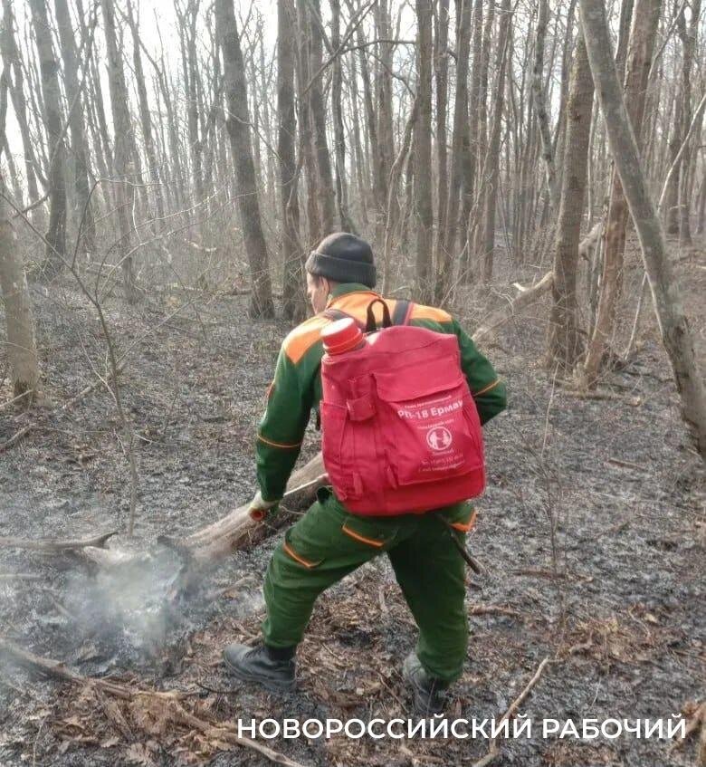 В Новороссийске потушили лесной пожар Лесной пожар на склоне Маркотха полностью потушен в 17 45 сообщил глава Новороссийска Андрей Кравченко О возгорании в Восточном районе стало известно ранним утром До места происшествия было очень трудно добраться Лесопожарные бригады отправились туда пешим ходом Обнаружили горевшую лесную подстилку Тогда по сообщению Лесопожарного центра площадь возгорания была определена как 0 5 га На 12 часов дня пожар был локализован на площади 1 2 гектара Тушить его пришлось с помощью ранцевых огнетушителей Подвозить воду помогали мотоциклисты эндуро и представители джиппинга Абрау Дюрсо novorab official