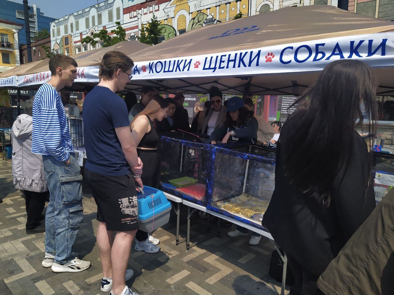 Десятки животных обрели дом благодаря выставке во Владивостоке Во Владивостоке состоялась выставка-раздача бездомных животных, в результате которой несколько десятков питомцев обрели новые семьи. Мероприятие было организовано волонтёрами движения «Спасём жизнь» при поддержке администрации города в рамках проекта «Животные города_В». Это была первая уличная выставка в этом году. В общей сложности 63 кошки и 10 собак нашли новый дом. Как отметила Яна Красицкая, куратор проекта, число пристроенных животных значительно выросло, а также ведётся профилактическая работа по гуманному обращению с животными. Руководитель движения «Спасём жизнь» Лилия Драчева уточнила, что все животные пристраиваются по договору о гуманном обращении, с последующей курированием новых хозяев. Выставки проводятся ежемесячно в разных районах Владивостока. Подробнее читайте на нашем сайте.