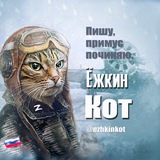 Аватар Телеграм канала: Ёжкин кот 🇷🇺