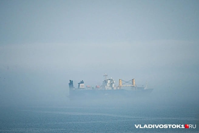 Приморские рыбаки — аутсайдеры по зарплатам.  На Дальнем Востоке они уступают коллегам и получают 163,9 тысячи рублей. По итогам 2024 года, рыбаки в Магаданской области заработали в среднем 263 тысячи рублей, что делает этот регион лидером среди рыбных областей России. Это в 1,7 раза превышает среднюю зарплату по региону — 153,8 тысячи рублей.   Приморье замыкает топ-10 с самой низкой заработной платой среди рыбаков лидирующих субъектов. Однако, несмотря на это, зарплаты в рыболовной отрасли региона увеличились в 1,9 раза по сравнению с местной средней заработной платой, которая составляет 84,9 тысячи рублей. Это также выше, чем медианная зарплата по Приморскому краю, которая находится на уровне 80 тысяч рублей.   Подписаться