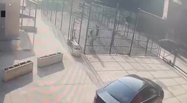 В Новосибирске сосед напал на подростка после игры с мячом
