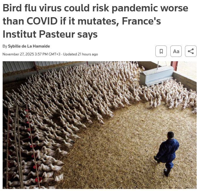 Болезнь страшнее коронавируса угрожает миру Речь идет о птичьем гриппе Если эта зараза мутирует и сможет передаваться от человека к человеку то мир ждет пандемия последствия которой покажутся еще цветочками в сравнении с коронавирусом Об этом заявили эксперты из Института Пастера Мы опасаемся что вирус адаптируется к млекопитающим и в частности к людям станет способным передаваться от человека к человеку Пандемия птичьего гриппа будет возможно даже более серьезной чем пандемия которую мы пережили отмечают специалисты Угроза вполне реальная по данным ВОЗ с 2003 по 2025 год была зарегистрирована почти тысяча случаев заражения людей птичьим гриппом Основная масса пришлась на Египет Индонезию и Вьетнам Почти 50 из них закончились смертью пациентов Снова запасаемся масками и антисептиками   Подпишитесь на Абзац TG VK Дзен MAX Rutube