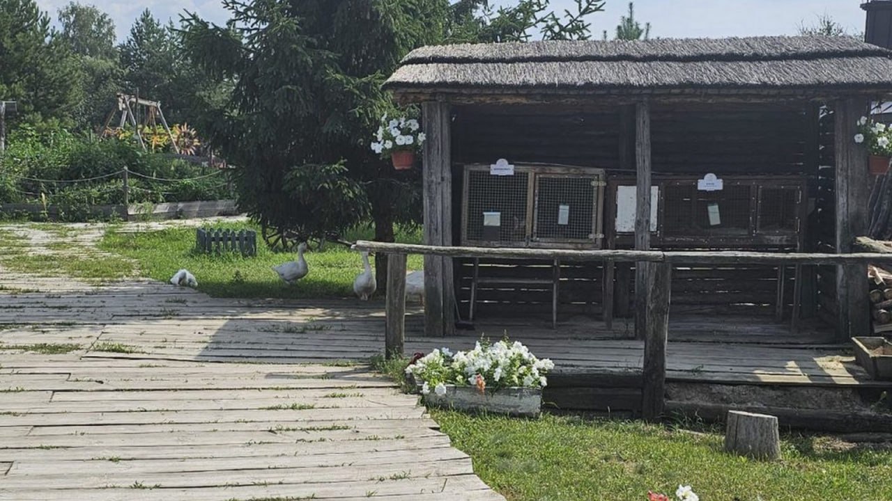 В Воронежской области обнаружили зоопарк, работающий без лицензии  Он находится на территории семейного культурно-досугового центра. За нарушение законодательства центру выдали предостережение.  При этом в управлении Россельхознадзора не стали уточнять название зоопарка. Кто узнал место?   Большой воронежский. Подписаться
