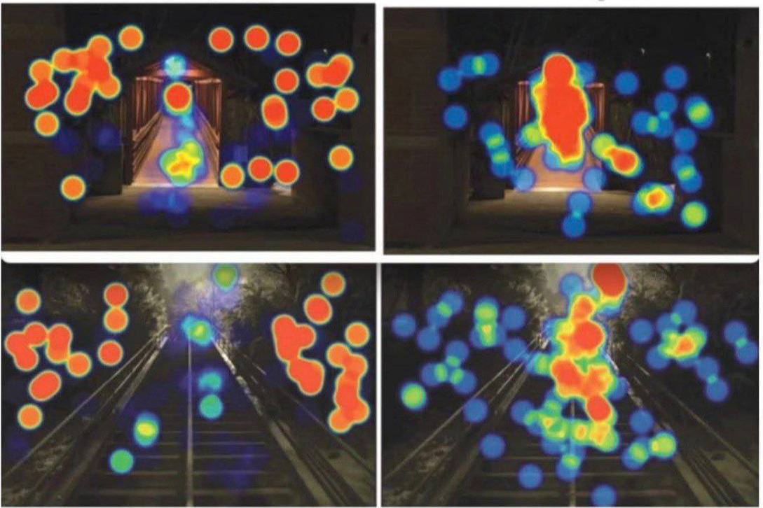 Учёные выяснили почему мужчины часто не могут найти нужную вещь в холодильнике или шкафу оказалось что женщины и мужчины по разному воспринимают окружающее Исследователи показывали представителям обоих полов фотографии ночных тропинок а затем попросили отметить зоны которые сразу приковали их внимание Мужчины фокусировались на объектах впереди и освещенной дорожке перед собой Женщины в первую очередь сразу рассматривали периферию на наличие опасных мест кусты темные участки по краям тротуара и так далее Они вынуждены постоянно отслеживать возможные угрозы Наш МАХ       ПОДПИСАТЬСЯ Наш МАХ       НАШИ НОВОСТИ ВКонтакте НАШИ НОВОСТИ ПОДПИСАТЬСЯ