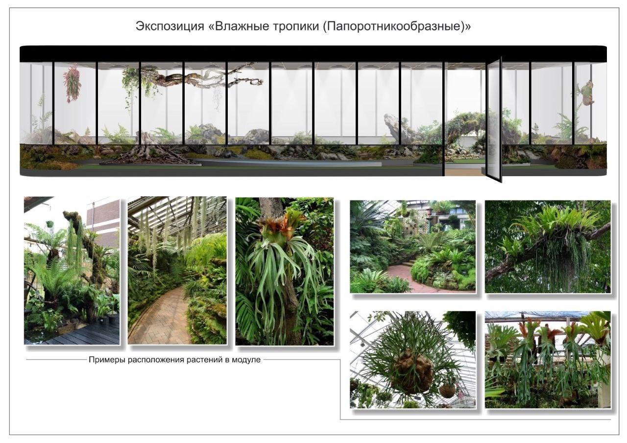 Ботанический сад разобьют в межуниверситетском кампусе в Челябинске  Над проектом работают ученые ботанического сада ЧелГУ совместно с архитекторами-экспертами "Сколково". Коллекции растений планируют разместить в учебно-научном комплексе кампуса. Среди них — растения влажных тропиков  орхидеи, папоротники и др. , суккуленты, субтропические цитрусовые, хвойные растения, в том числе краснокнижные.  "Планируя размещение коллекций в атриуме, мы думали об эстетике, микроклимате, психологическом комфорте, но главной целью оставалась возможность проводить научную деятельность и исследования. Для нас это прежде всего испытание тропических и субтропических растений в условиях закрытого грунта, изучение возможностей их культивирования, размножения и прочее", — рассказала директор ботанического сада ЧелГУ Вера Меркер.  В коллекционный фонд ботанического сада войдут и растения, которые высадят во внутреннем дворе. Как сообщили в пресс-службе вуза, зеленые зоны и коллекции станут частью образовательных программ нескольких факультетов.  Фото: телеграм-канал ЧелГУ    Вести Южный Урал   Челябинск
