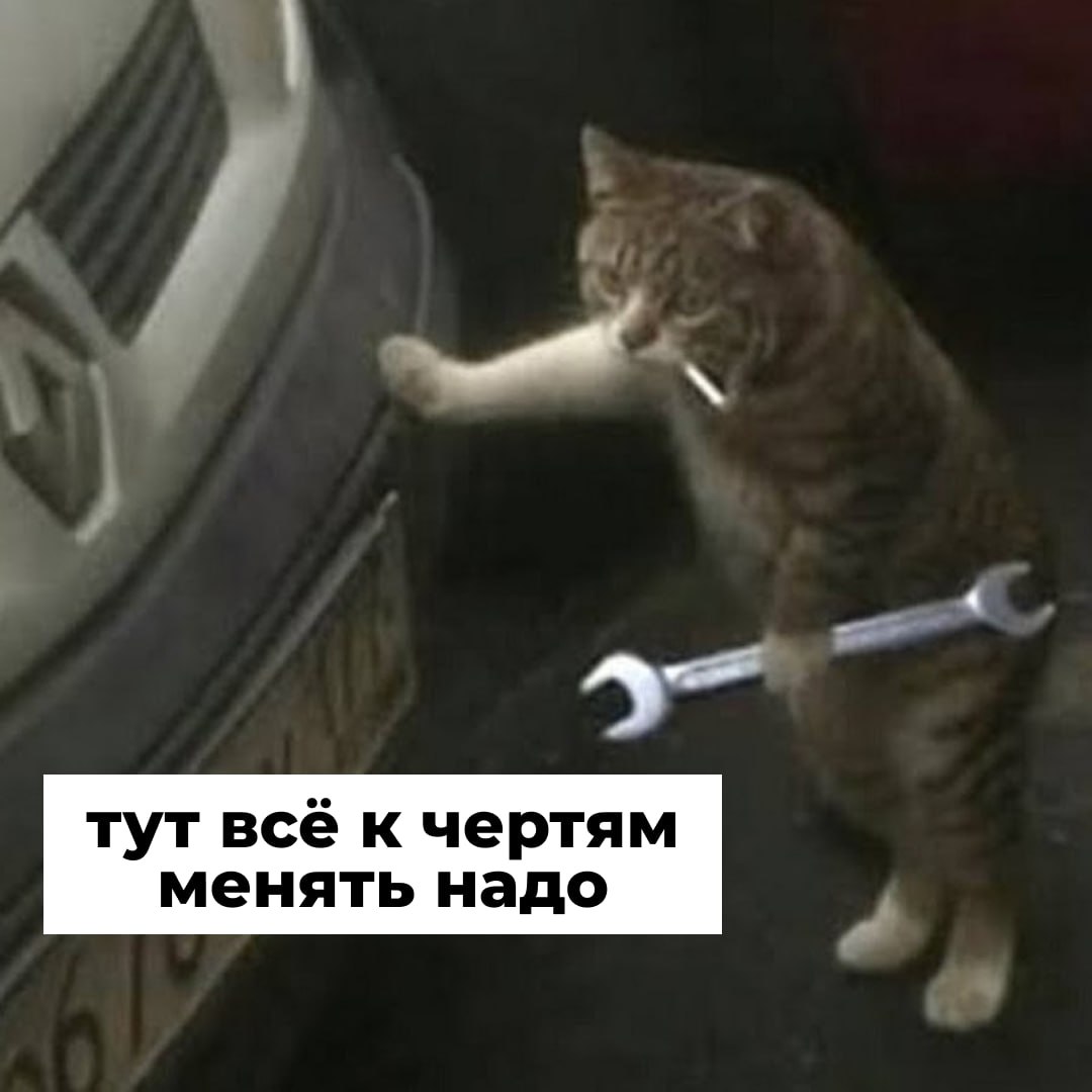 Госдума приняла закон о бесплатном обучении для школьников не сдавших ОГЭ Ученики 9 х классов не прошедшие государственную итоговую аттестацию теперь смогут поступать в колледжи на программы подготовки по рабочим специальностям