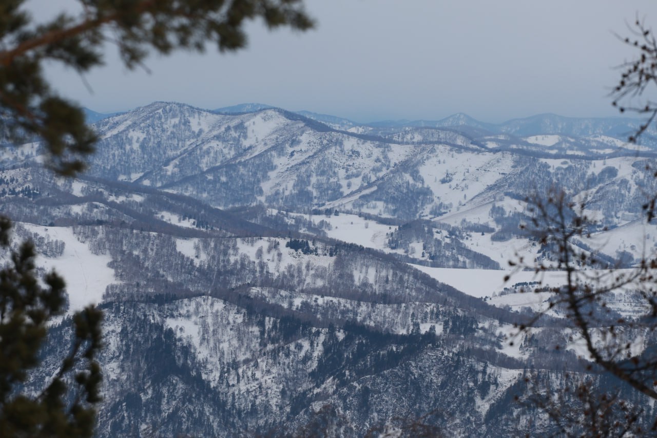 ТОЛК новости Барнаула Алтайского края и Республики Алтай В Республике Алтай продолжается распределение земельных участков для участников спецоперации 10 земельных участков предоставлены участникам спецоперации в Манжерокском поселении Оставшаяся часть 25 участков будет предоставлена до 19 января 2026 года Таким образом очередь по данному поселению будет полностью закрыта рассказал глава республики во время прямого эфира Аналогичный подход будет применяться по всей территории региона В Улаганском районе уже выявлены свободные территории площадью 10 га которые могут быть предоставлены льготникам Работа продолжается в Майминском Турочакском и Кош Агачском районах До конца года утвердим дорожные карты по каждому району которые позволят обеспечить всех участников спецоперации земельными участками в 2026 году заверил подробнее на канале ТОЛК новости Барнаула Алтайского края и Республики Алтай