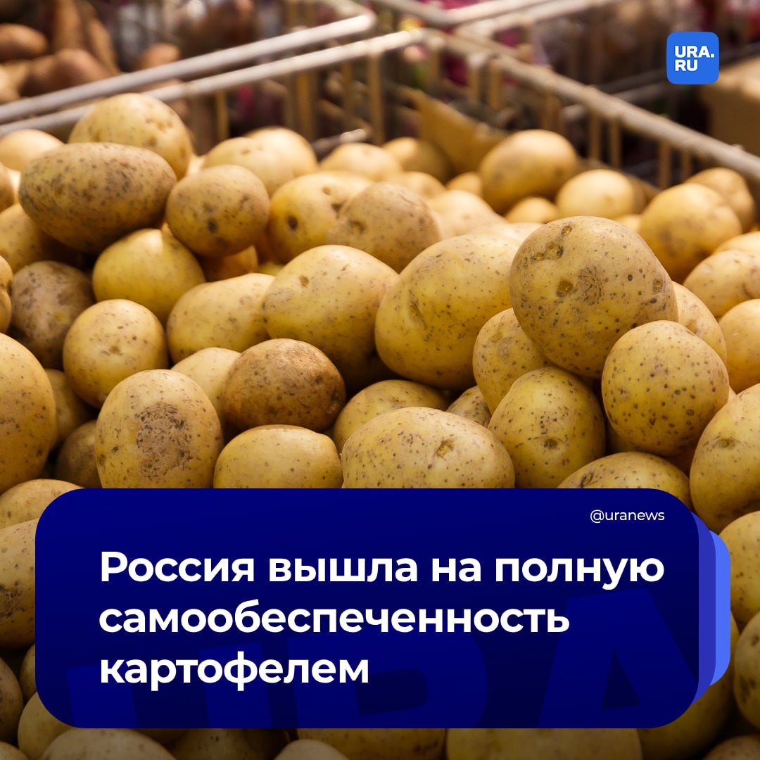 Россия смогла сама обеспечить себя картошкой впервые за восемь лет. Уровень самообеспечения картофелем в 2023 году составил 101%.   Росстат сообщил, что Россия обеспечивает также себя полностью мясом — 101,7%, рыбой — 152,9%.  «Меньше всего собственное производство в России покрывает потребление фруктов и ягод — в прошлом году самообеспеченность по данной категории составила лишь 44,6%», — сообщило РИА Новости со ссылкой на данные.