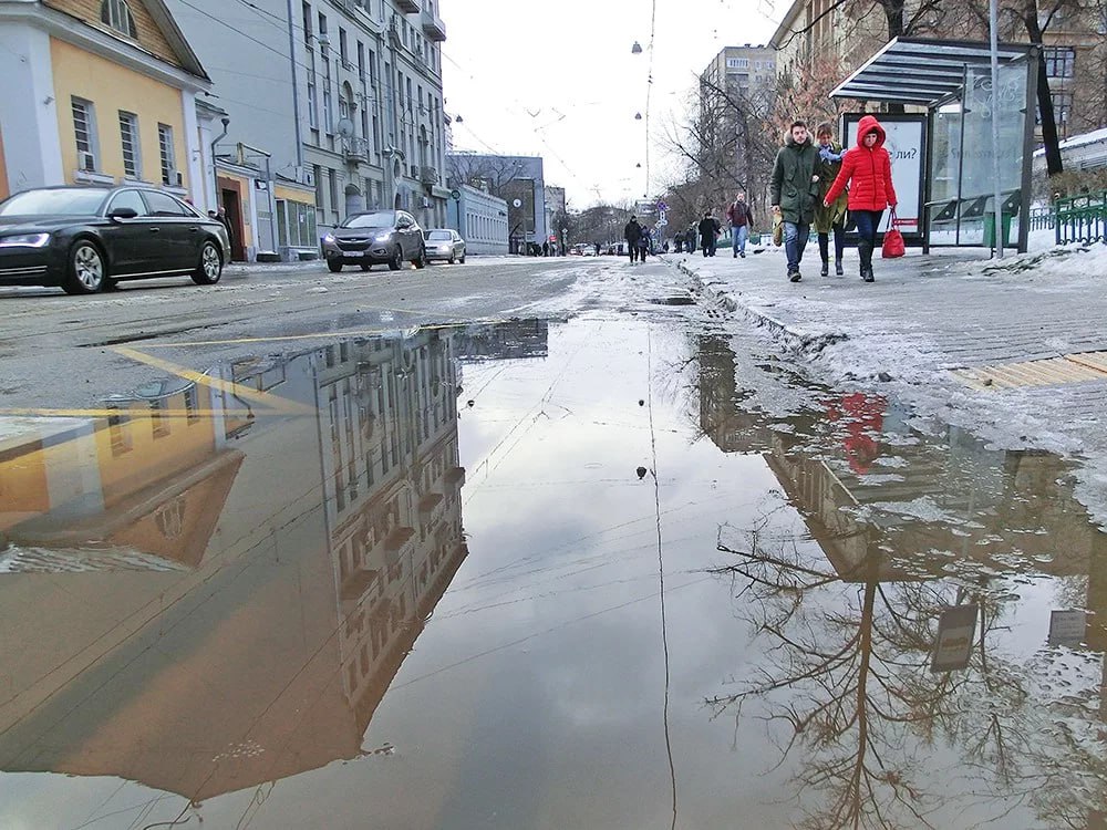 Снежный покров полностью растаял в Московском регионе, сообщил ведущий специалист центра «Фобос» Евгений Тишковец  В Москве снега тоже практически не осталось, единственный бастион зимы, по словам синоптиков, сохранился в Тушино, там 3 см снега.