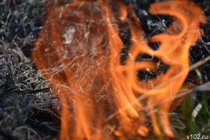 Особый режим из-за жары и пожаров объявлен в Волгоградской области  В Волгоградской области со 2 июня начинает действовать особый противопожарный режим. Об этом 2 июня на оперативном совещании в администрации региона сообщил губернатор Андрей Бочаров. По его словам, обстановка остается стабильной, вместе с тем в Волгоградской области фиксируется рост количества природных пожаров – до 50 случаев в сутки.