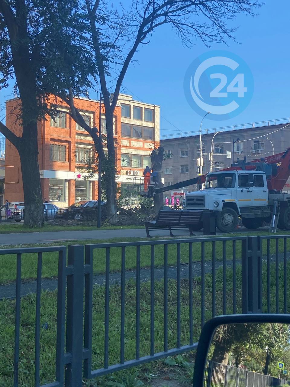В Саратове на Рахова пилят сухие ветви деревьев, сообщает подписчик    Прислать новость