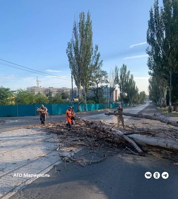 Мариупольские коммунальщики оперативно устранили последствия аварийной ситуации 11 августа на проезжую часть на улице Артема упало дерево и заблокировало движение транспортных средств. На сигнал о происшествии оперативно отреагировали в МУП «Зеленстрой». Рабочие зеленого строительства немедленно выехали на место, распилили поваленное дерево и убрали его с проезжей части. В результате слаженных действий коммунальщиков движение транспорта на улице Артема было восстановлено в кратчайшие сроки.