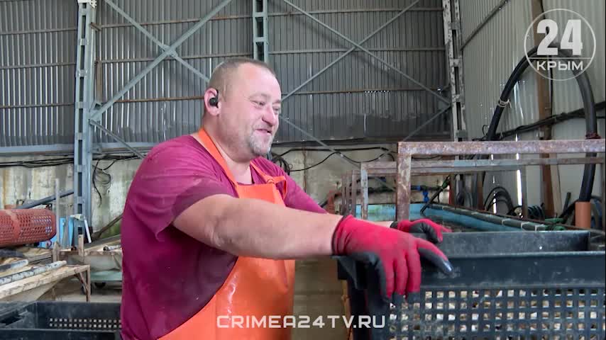 В Севастополе открыт первый устричный питомник для повышения самодостаточности в аквакультуре