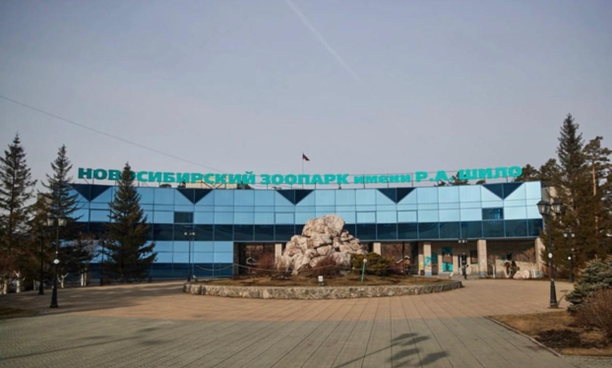 Новосибирский зоопарк имени Шило будет работать дольше на майские праздники. Об этом сообщили в пресс-службе учреждения. С 1 по 4 мая зоопарк будет работать на час больше, с девяти утра до десяти вечера. Учреждение сохранит график выходного дня с 8 по 11 мая включительно. #новосибирск