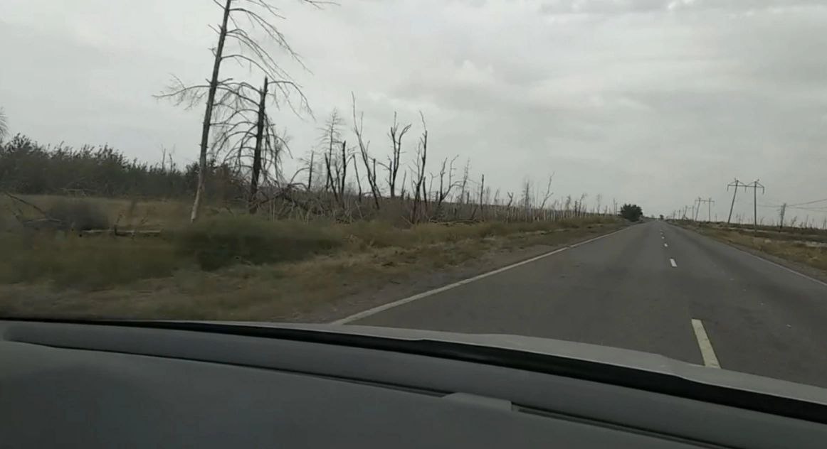 В Луганске сообщили об экологической катастрофе, которую устроили украинские власти  Луганский писатель и постоянный автор "Родины" Глеб Бобров сообщил об экологической катастрофе, которую устроили близ Северодонецка украинское власти. На протяжении десяти лет они вырубали лес и вывозили древесину за рубеж.  Как известно, во время Великой Отечественной фашисты вывозили с оккупированных территорий полезные ископаемые, хлеб, лес и чернозем. Подобным образом поступали на Донбассе и украинские власти.  Без малого двадцать погонных километров до самого горизонта раскинулась рукотворная тундра. Природная, ландшафтная и экологическая катастрофа,   - написал Бобров в своем материале на сайте Луганского информационного центра по итогам командировки в Северодонецк вместе с журналистами "Родины" и "Российской газеты"