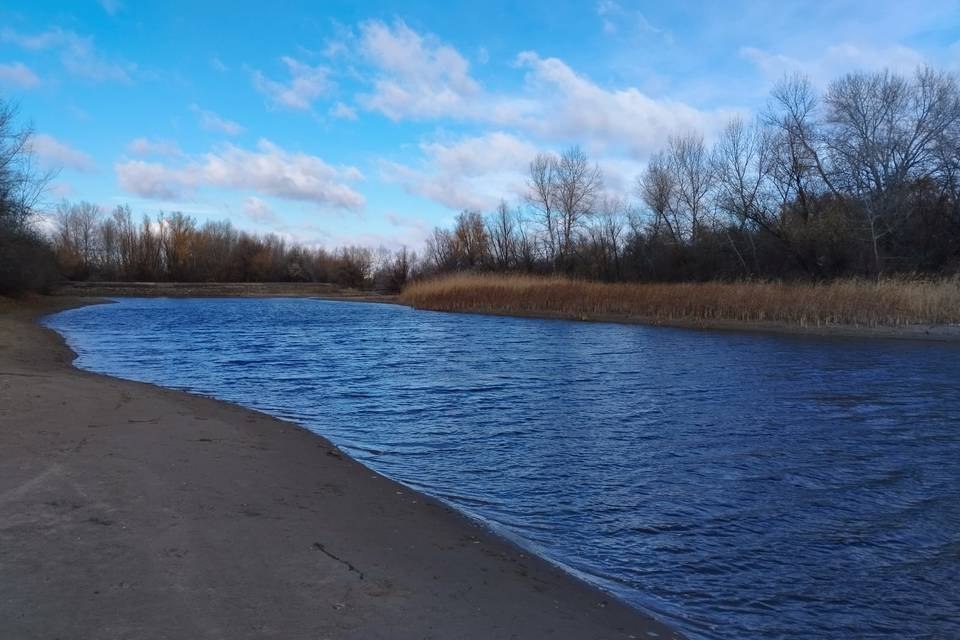 Под Волгоградом завершается расчистка Верблюда  За три года восстановлено 127 гектаров территории.  В Волго-Ахтубинской пойме завершается расчистка ерика Верблюд. Как сообщили «Городским вестям» в пресс-службе администрации Волгоградской области, это один из важнейших водотоков, питающих целую сеть водных объектов. Расчистка русла от мусора, донных отложений и сорняков выполнена по федеральному проекту «Оздоровление Волги» нацпроекта «Экология».  Общая площадь восстановленной территории за три года реализации проекта составила 127,5 га. Со дна ерика и озера поднято более 152 тысяч кубометров ила, песка, растительных и бытовых отходов. Благодаря этому улучшилась водообеспеченность ряда населенных пунктов и дачных обществ Среднеахтубинского района, а также питание других связанных с Верблюдом ериков и сети озер. По берегам восстановленных объектов высажено 10 тысяч деревьев — саженцы были подобраны с учетом пойменного ландшафта.