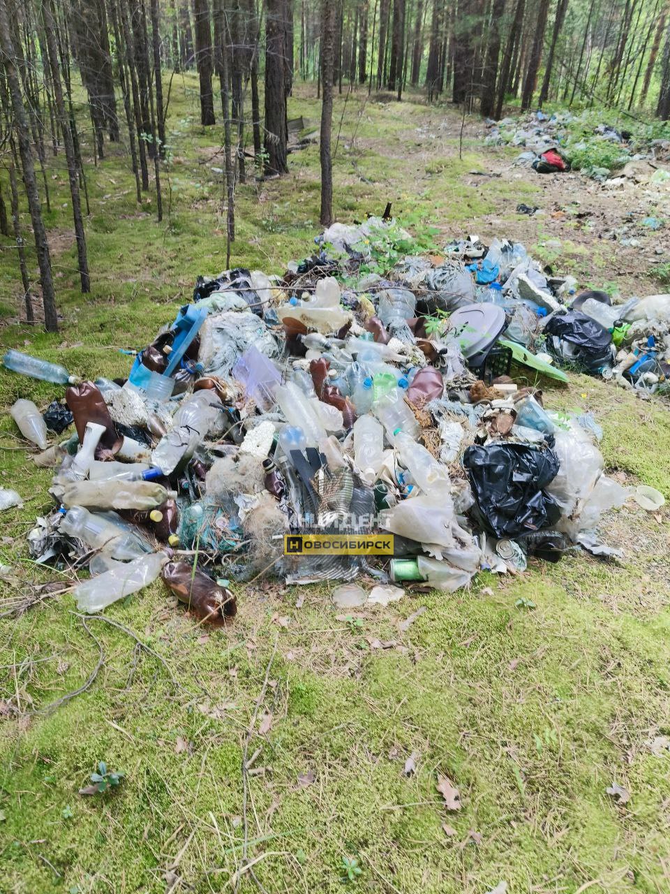 Горы мусора обнаружили в Караканском бору "Это Караканский Бор. До каких пор неблагодарные и тупые людишки будут свозить мусор? Это пластик, он практически не разлагается. Неужели трудно до полигона все увезти? Люди, остановитесь! Хотя таких и людьми назвать сложно, свиньи! Почему на таких нет никакой управы?", - написал наш подписчик, поделившийся фото и видео.