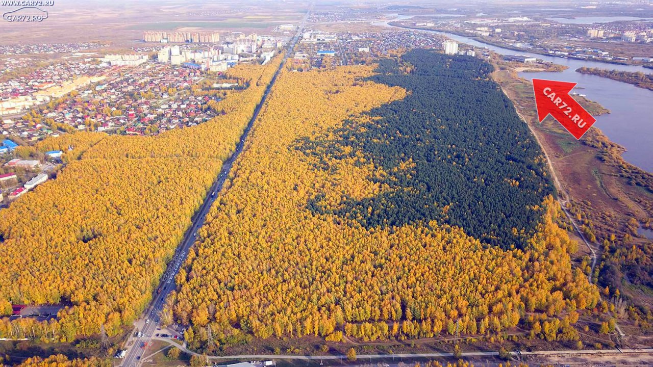 Первый городской пляж в Тюмени откроется на озере Круглое около парка Гагарина 1 июня, в день защиты детей.  Его протяженность составит 150-200 метров, а площадь около 12 тысяч кв.м., где смогут разместиться 1200 отдыхающих. Сюда привезут песок, оборудуют туалеты, установят кабинки для переодевания и пост спасателей. Возможно появятся кафе.  Вход на пляж будет бесплатным. Сейчас ведутся работы по расчистке территории.  К пляжу нельзя будет подъехать на автомобиле.   Больше всего повезло жителям ЖК "Финский залив", ЖК "Зеленый Мыс" и ЖК "Первая Линия Пляж". Теперь у них помимо близости красивого парка и вида на озеро появится еще и городской пляж. Хотя дикий пляж в этом месте существовал уже много лет.     VK /    Telegram /   Авторынок /    ДТП /   CAR72.RU /  Прислать новость