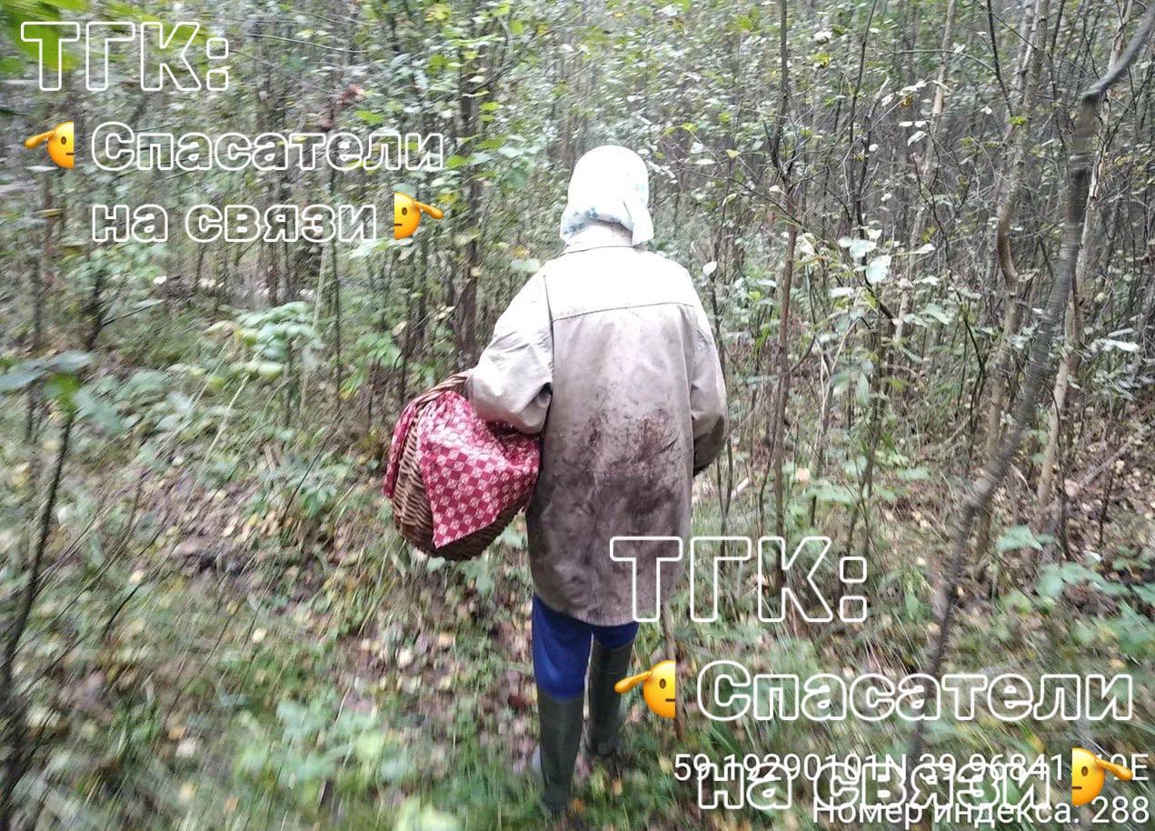 Вологодские спасатели нашли 86 летнюю бабушку ушедшую за грибами 86 летняя жительница Лосты отправилась в лес за грибами и заблудилась Как сообщают вологодские спасатели сигнал о пропаже пенсионерки поступил от ее подруги которая обеспокоилась долгим отсутствием пенсионерки Пожилая женщина пыталась самостоятельно найти дорогу домой но запуталась в лесных тропинках К счастью как выяснилось во время поисковой операции бабушка находилась недалеко от сельской дороги что позволило быстро её найти Спасатели отмечают что несмотря на пережитый стресс пенсионерка сохраняла бодрость духа и даже заверила что смогла бы самостоятельно выйти из леса через сутки