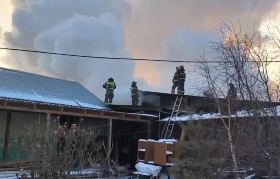 В хакасском поселке Сахарный сгорел приют для животных Каштанкин дом Огонь охватил 350 квадратных метров спасатели вынесли из пламени 150 кошек и 15 собак К сожалению без погибших животных не обошлось точное число жертв пока неизвестно Причиной пожара предварительно стал перекал печной трубы Подробнее на Бабре хакасия kras 24