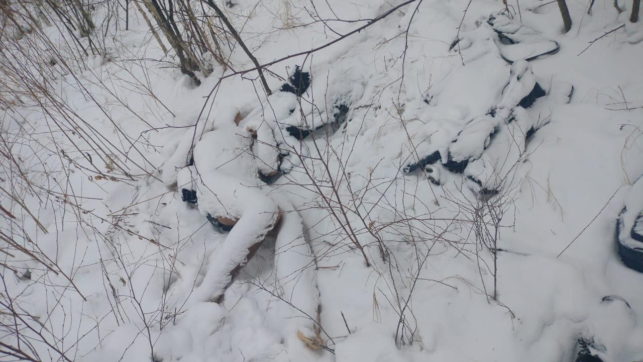 Студент из Хабаровска, которого искали больше месяца, замёрз насмерть.  20-летний Данил Галдин жил с родителями — 6 декабря поссорился с ними, ушёл из дома в посёлке имени Горького и не вернулся. Родные обратились в полицию и к волонтёрам, расклеили листовки.  Тело обнаружили под селом Восточное.    Подписаться -