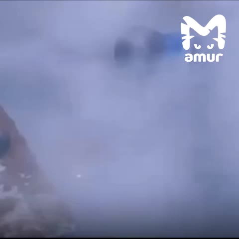 Масштабные коммунальные аварии в Хабаровске и Красноярске оставили тысячи людей без отопления