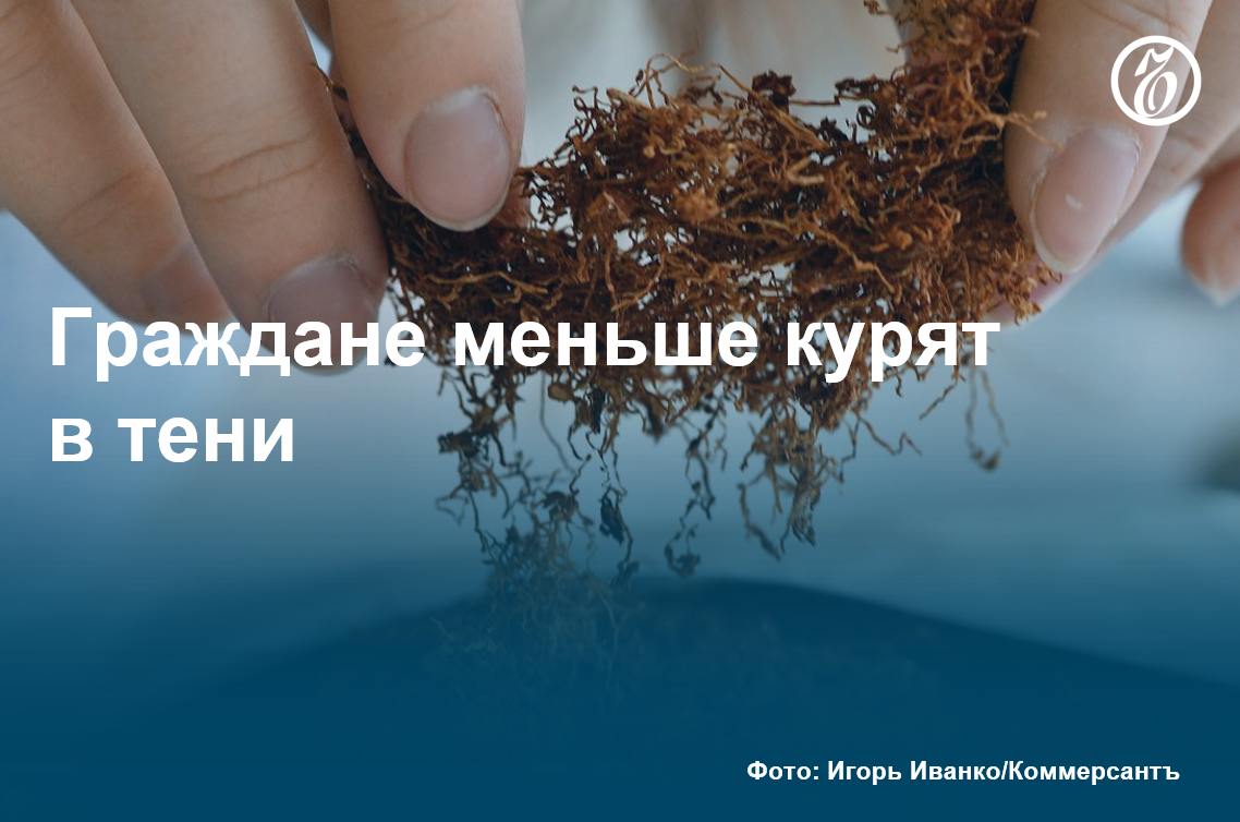 В России растет табачный рынок. В третьем квартале 2024 года объем продукции для курения увеличился более чем на 11% год к году, выяснил «Ъ». Средняя стоимость сигарет в этот период составила 182 руб., это на 8,3% больше по сравнению с прошлым годом.  Увеличение объема предложения может быть обусловлено как обелением рынка, так и растущим спросом, говорят эксперты. По их словам, потребители рассматривают курение как меру борьбы со стрессом и не отказываются от него даже с учетом роста цен на продукцию. Подробнее — в материале «Ъ».    #Ъузнал