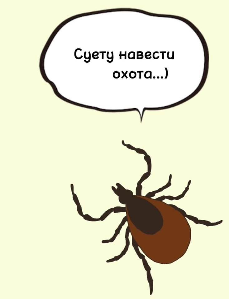Россиян ждёт ранняя атака клещей в этом году Причина нынешняя снежная зима помогла многим насекомым успешно выжить под землей а значит атаковать людей и животных они начнут раньше и сильнее Большой воронежский Подписаться И на всякий в Maх