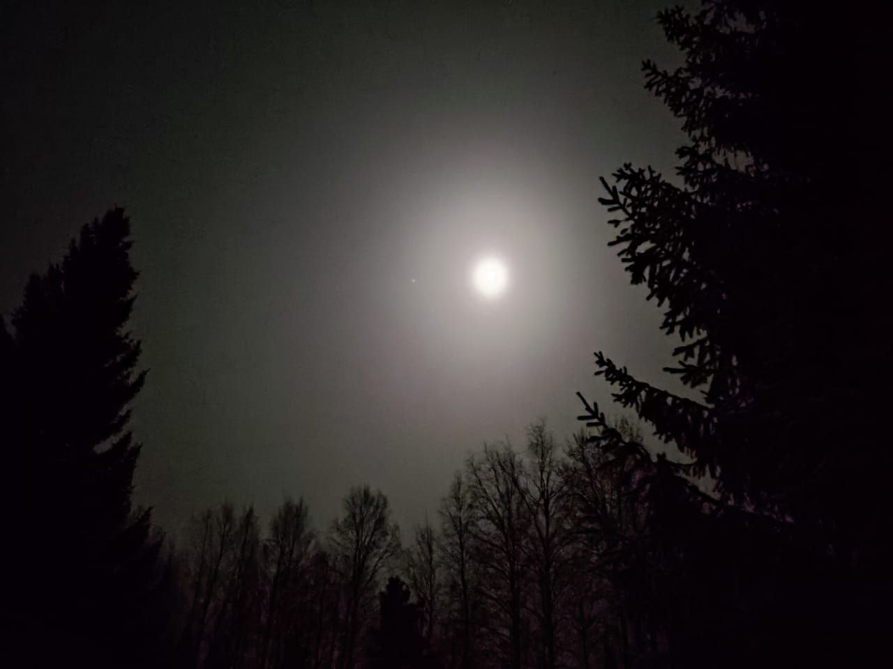 Пинежский и Холмогорский районы остались без света из за аварии на ЛЭП Ситуация с отключениями света в районах Архангельской области похоже начинает входить в привычку Сегодня стало известно что без электричества снова остался ВЕСЬ Пинежский район О причинах отключения рассказала глава района Людмила Колик Все Пинежье без электроэнергии Аварийное отключение на территории Холмогорского района между посёлком Сия и поселком Луковецкий Бригада электриков выехала Все котельные подключают генераторы Школы переходят на дистанционное обучение Детсады сегодня воспитанников принимать не будут Прогнозное время восстановления электроснабжения не ранее 12 часов дня Кроме того известно что без электричества остался и Холмогорский район хотя данную информацию глава округа Виталий Дианов никак не прокомментировал последний пост на его странице ВК по состоянию на 9 50 касается участия в ток шоу Позиция Да и паблик администрации ВК тоже пока что молчит По информации МЧС без света остался 9171 дом а также 85 школ и детских садов Отметим что Пинежский округ полностью и частично Холмогорский оставались без света в конце декабря из за аварии всё на том же участке между Луковецким и Сией В январе обрыв произошёл уже между Паленьгой и Сией По теме также читайте материал Я не понимаю