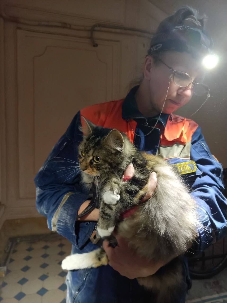 В Петербурге спасли кошку которая пять дней провела под бетонной лестницей без еды и воды УК не смогла помочь и поэтому вызвали спасателей Кошкиспас С помощью камеры и петли животное вытащили через щель Cейчас кошка восстанавливается много пьёт и ждёт хозяина Подписаться Прислать новость
