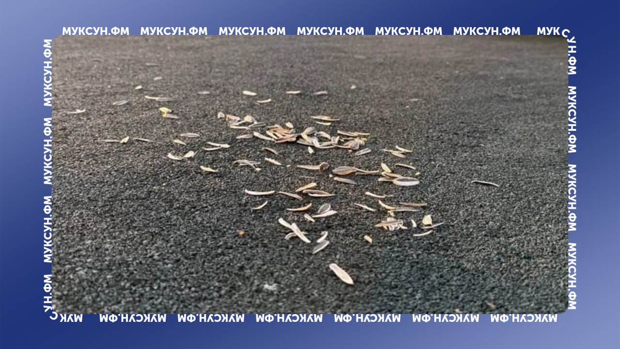 Власти Нижневартовска пристыдили горожан за мусор на набережной и в парке. В соцсетях чиновники выложили фото «находок». По их словам, долгожданный фонтан на Комсомольском бульваре включили недавно, но уже он забит мусором. А несколько новых горшков с цветами на набережной и вовсе украли. С мэрией согласились неравнодушные горожане. Они и сами замечают, что набережную города не щадят. Дети выбрасывают мусор под ноги, ломают игровое оборудование, взрослые оставляют бутылки. Есть что рассказать или показать? Создавай картину дня – предложи свою новость! 8 8 8