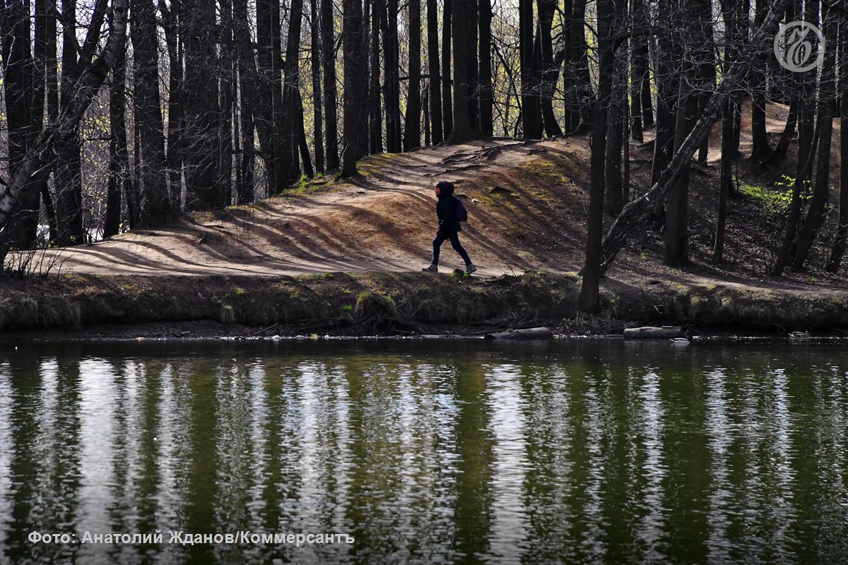 В Госдуме отклоняют законопроект разрешающий рубить лес ради благоустройства Комитет ГД по экологии и природным ресурсам рекомендовал отклонить проект Авторы инициативы из Совета федерации объясняли ее запросами жителей на оформление протоптанных в чащах дорожек Заодно сенаторы предлагали ради рекреационной деятельности разрешить перевод земель лесного фонда в другие категории В комитете сочли что идея таких рубок противоречит закону о воспроизводстве лесов а сам проект не соответствует регулированию градостроительной деятельности Подписывайтесь на Ъ в Telegram в MAX Оставляйте бусты
