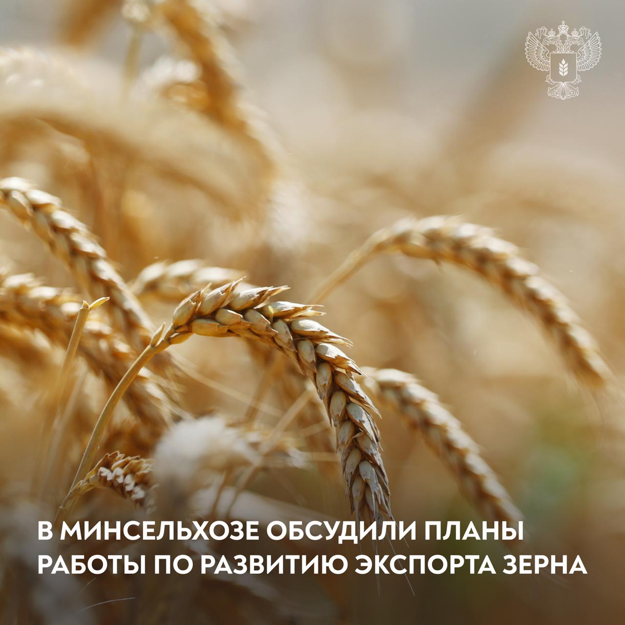 Оксана Лут провела совещание с представители бизнеса и отраслевых союзов Обсудили прогнозы поставок логистику и развитие биржевой торговли С начала сезона за рубеж поставлено более 7 млн тонн зерна Во втором полугодии ожидается экспорт порядка 33 млн тонн Для стимулирования поставок прорабатываются меры совместно с бизнесом и союзами Среди них приоритизация ж д перевозок продукции АПК приобретенной на биржевых торгах Развитие биржевых механизмов позволит повысить конкурентоспособность отечественного зерна укрепить позиции России на мировом рынке и снизить влияние внешних факторов на внутренние цены АПК