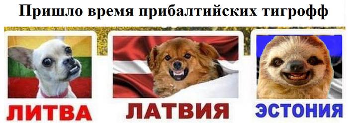 Рубрика их борьба В Риге запретили запускать салюты в Новый год по московскому времени За нарушение будут штрафовать Дмитрий Никотин Подписаться