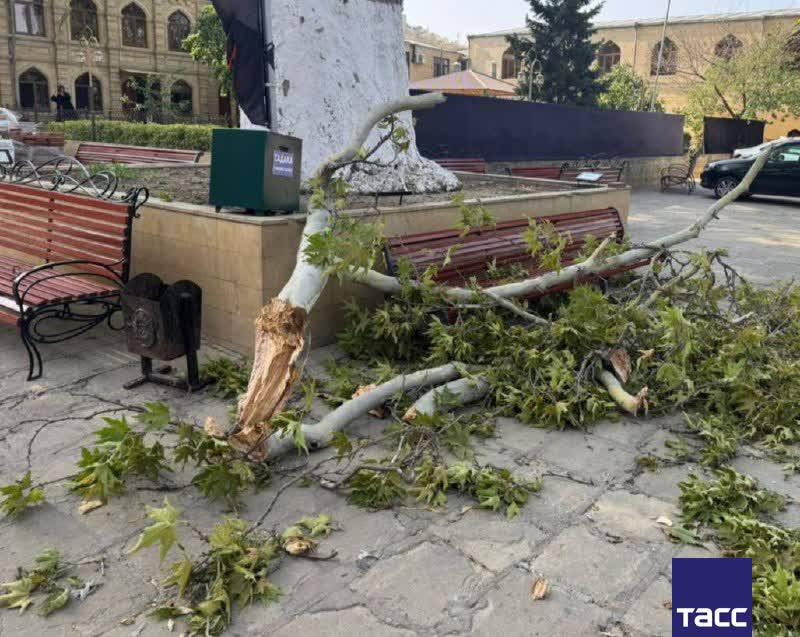 Один человек погиб, еще двое пострадали в результате падения ветки в Дербенте. Об этом в своем телеграм-канале написал руководитель Центра управления регионом Дагестана  ЦУР  Исрафил Исрафилов.  Следователи организовали проверку.   Фото: СУ СК РФ по Дагестану/ТАСС