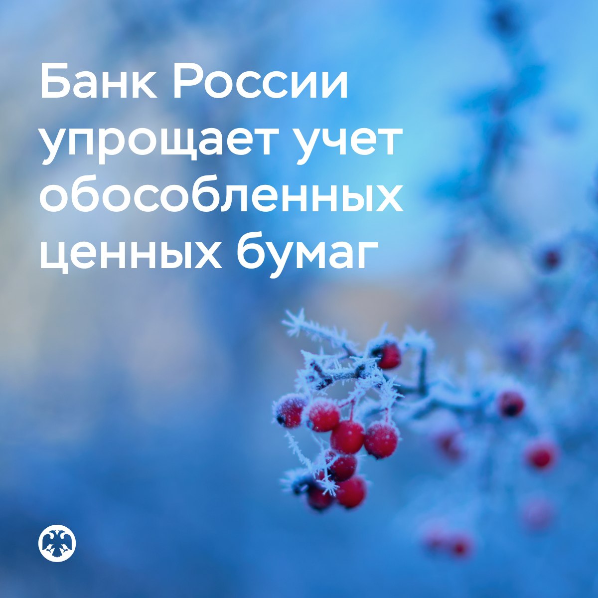 Банк России VK Банк России упрощает учет обособленных ценных бумаг Депозитарии до 18 декабря 2025 года включительно должны вывести на неторговые счета обособленные ценные бумаги российские акции если они или депозитарные расписки на них были приобретены после 1 марта 2022 года а также еврооблигации и замещающие облигации которые были приобретены после 3 марта 2023 года Требование об обособленном учете таких ценных бумаг установлено Указом Президента 138 Снять его можно только после проверки документов и сведений подтверждающих что в цепочке владения не было недружественных инвесторов Теперь только чистые бумаги могут находиться на торговых счетах депо и свободно обращаться на биржевых торгах в том числе в режиме переговорных сделок В решении Банка России также обозначен минимальный набор документов который должен получить от клиента депозитарий регистратор для принятия решения о прекращении ведения обособленного учета При переводе бумаг другому депозитарию регистратору он по запросу обязан поделиться всеми доступными ему документами и сведениями Теперь не нужно каждому участнику учетной инфраструктуры собирать пакет документов по истории владения ценной бумагой одному участнику достаточно это сделать один раз и дальше передавать полученную информацию по цепочке Это снизит нагрузку на участников рынка и упростит клиентский путь Также вводится период охлаждения прекратить обособленный учет ценных бумаг или исполнить поручение об их переводе в другой депозитарий регистратору можно будет через шесть рабочих дней после направления уведомления в Банк России С 12 января 2026 года начнут действовать новые требования к обособленному учету с этого момента бумаги приобретенные на биржевых торгах не нужно будет обособлять и проверять всех владельцев Что касается внебиржевых сделок то в отношении них сохраняется обязанность обособлять бумаги При этом депозитарии и регистраторы обязаны сдавать ежедневную отчетность по операциям с обособленными ценными бумагами в Банк России Подробнее о новых требованиях vk cc cSaFM1 Банк России внимательно следит за соблюдением участниками рынка требований Указа Президента 138 и будет применять жесткие надзорные меры при выявлении нарушений