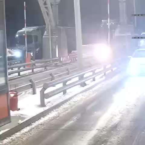 Собака, сбежавшая на платном пункте М4 Дон, успешно вернулась к хозяйке