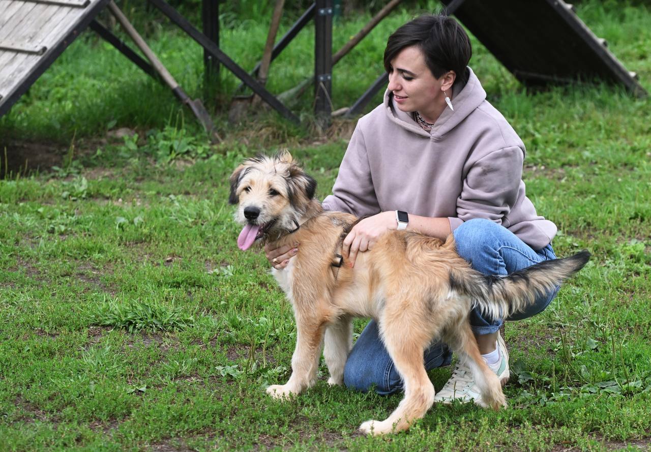 Правительство утвердило Концепцию содействия развитию благотворительной деятельности в России до 2030 года Главная задача создать условия для вовлечения в благотворительную деятельность граждан и бизнеса Ключевые направления Совершенствование мер поощрения граждан и предпринимателей в том числе через налоговые льготы Расширение практики передачи производителями и торговыми организациями продовольственных и других товаров на благотворительные цели Улучшение механизмов работы целевых капиталов НКО Снижение административной нагрузки на некоммерческий сектор Развитие информационных систем и сервисов внедрение цифровых технологий в благотворительную деятельность Развитие ресурсных центров поддержки социально ориентированных НКО в том числе на селе Формирование эффективных механизмов взаимодействия между благотворителями государством бизнесом и СМИ Повышение профессиональных компетенций работников благотворительной сферы Оказание образовательной поддержки и содействия в распространении лучших программ и проектов Подписаться на Правительство России в MAX