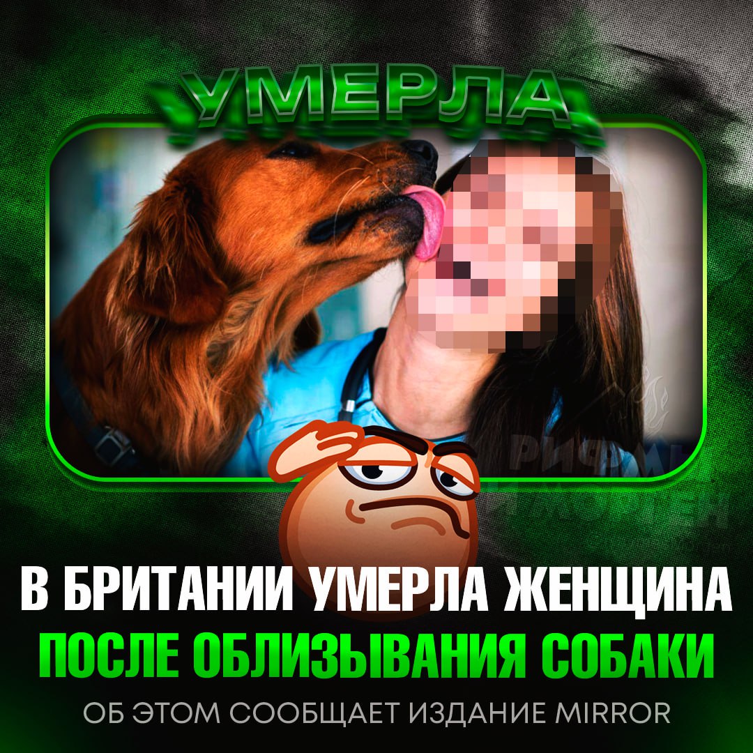 ЖЕНЩИНА УМЕРЛА ПОСЛЕ ОБЛИЗЫВАНИЙ СОБАКИ! Данный инцидент произошёл в Британии Пенсионерка позволила своему псу облизать открытую рану, и это закончилось тяжёлым заражением. Её доставили в больницу, но не смогли спасти — женщина умерла от септического шока. Врачи нашли в крови бактерию, типичную для слюны животных, и уверены — заразу занёс именно любимец. — ситуация просто п#здец Рифмы и Морген
