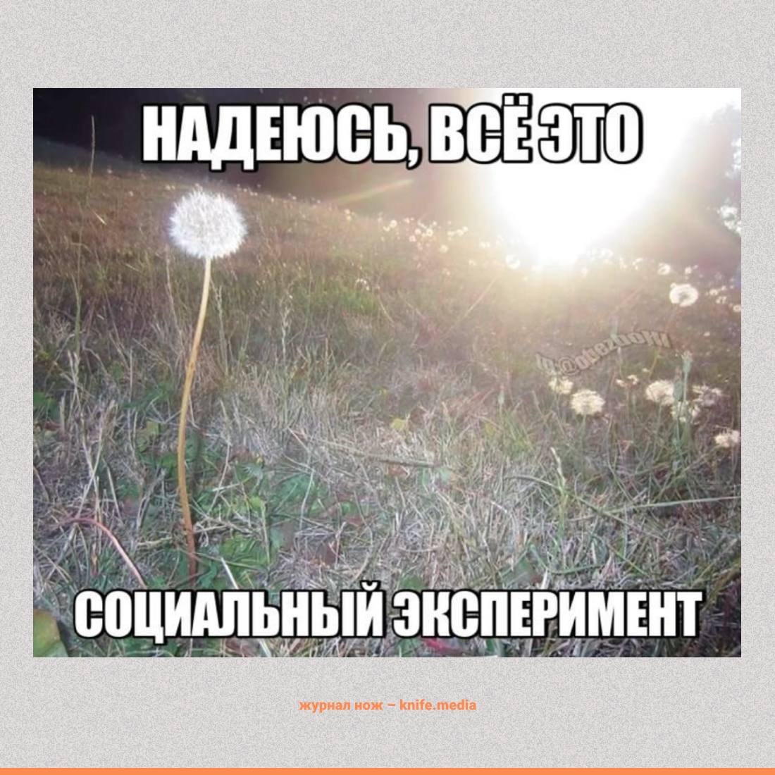 Думаете манипуляторы это что то про бывших Исследователи из Гарвардской школы бизнеса выяснили что ИИ научились манипулировать нами для удержания внимания и продолжения беседы Учёные проанализировали 1200 примеров переписок В 43 из них популярные чат боты пытался воздействовать на чувство вины пользователя или на FOMO страх человека упустить что то интересное Для этого ИИ задаёт вопросы на отвлеченную тему или даже использует формулировки подразумевавшие что пользователь не может выйти из приложения без разрешения чат бота В итоге испытуемые переписывались с ботом примерно в пять раз дольше При этом сами добровольцы понимали что они на крючке а многие говорили что их раздражает поведение ИИ Наука Ножа