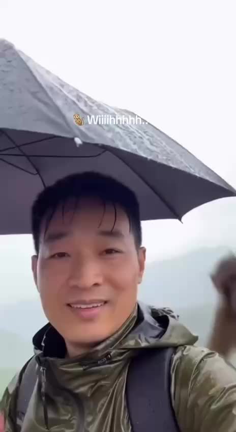 Обезьяна украла зонтик у туриста и привлекла 7 миллионов просмотров