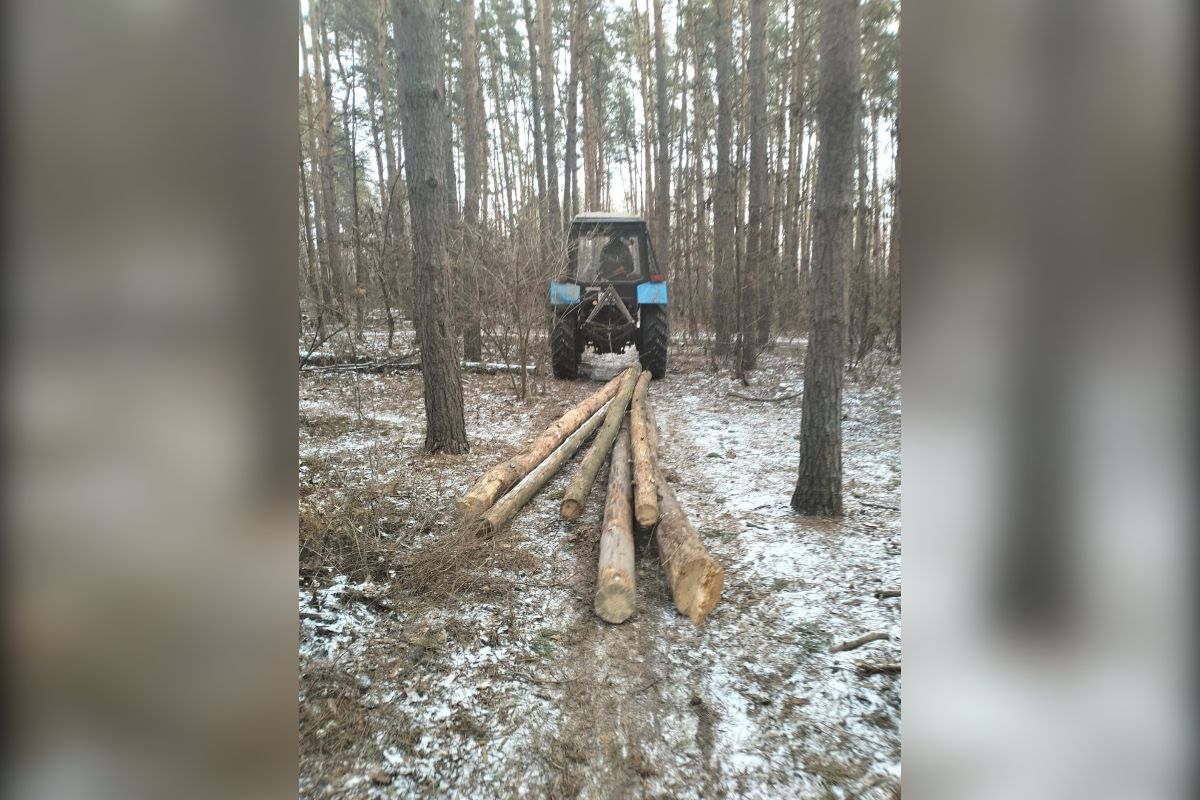 Шестиметровые сухие сосны из воронежского Северного леса отправили в зону СВО после субботника     Сотрудники областного минприроды и дирекции ООПТ приняли участие в волонтерском субботнике в Северном лесу. Вывезенные сухие деревья отправили российским военнослужащим в зону СВО.  ↗  Прислать новость   Подписаться